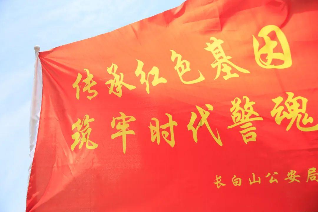 时尚小鸡救援